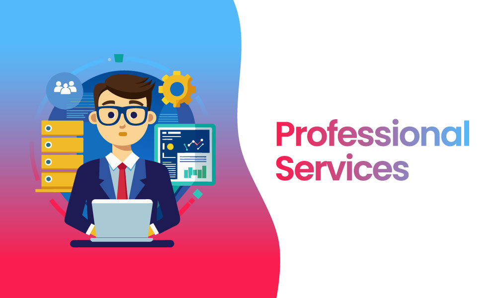 Professional Services – aamra technologies limited